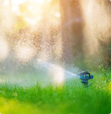 Dr. Botani | gras sproeien