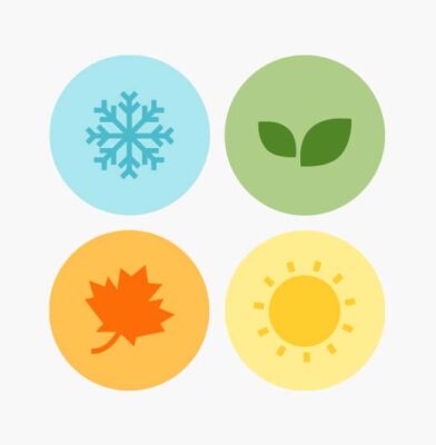 Dr. Botani | Illustratie van de seizoenen.