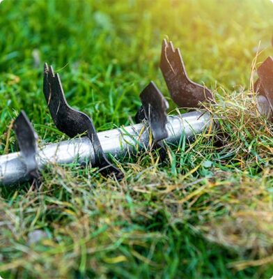 Dr. Botani | Verticuteerhark in het gras.