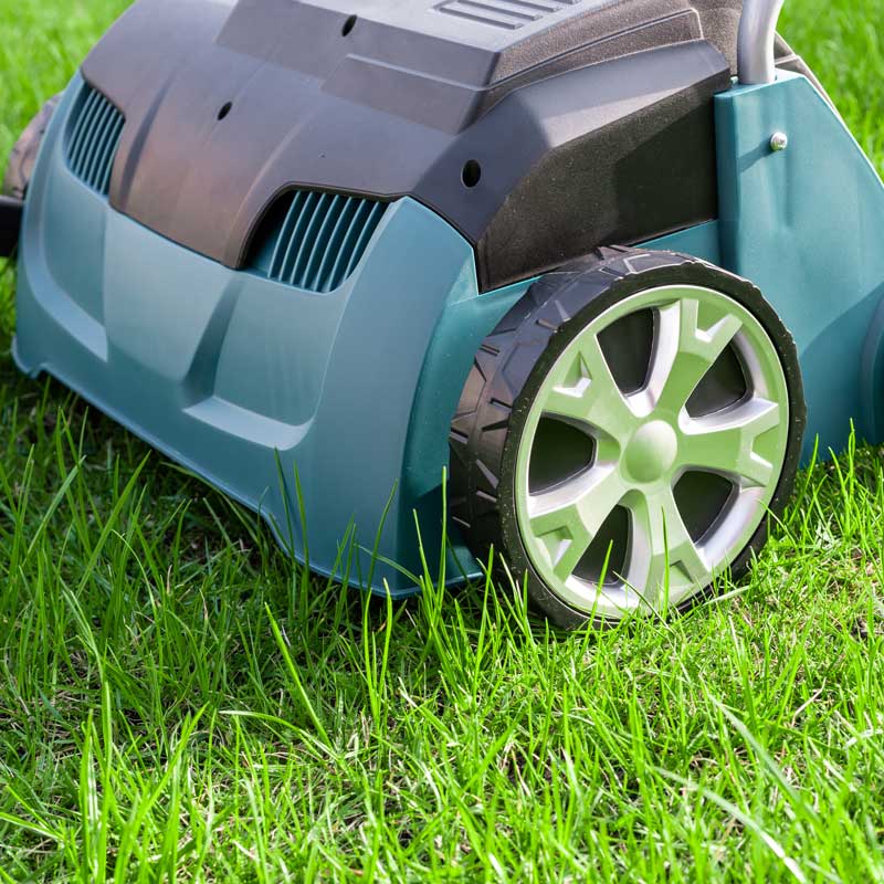 Gras verticuteren | Dr. Botani