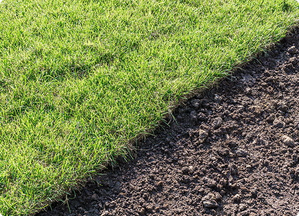 Goede ondergrond voor graszoden | Dr. Botani