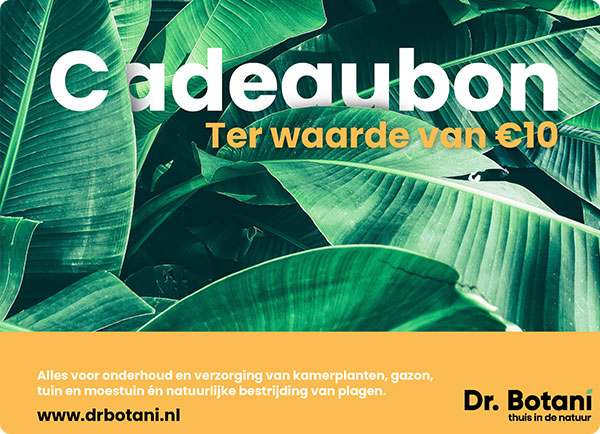 Huis en tuin cadeaubon | Dr. Botani