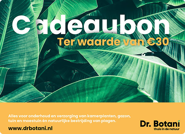 Cadeaubon voor de tuin | Dr. Botani