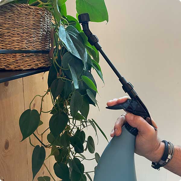 Plantenspuit ondersteboven spuiten | Dr. Botani