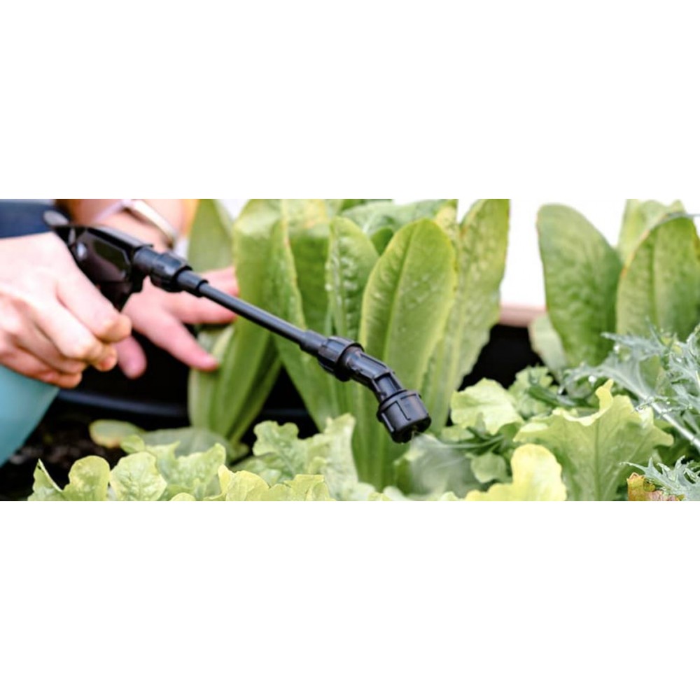Planten benevelen | Dr. Botani
