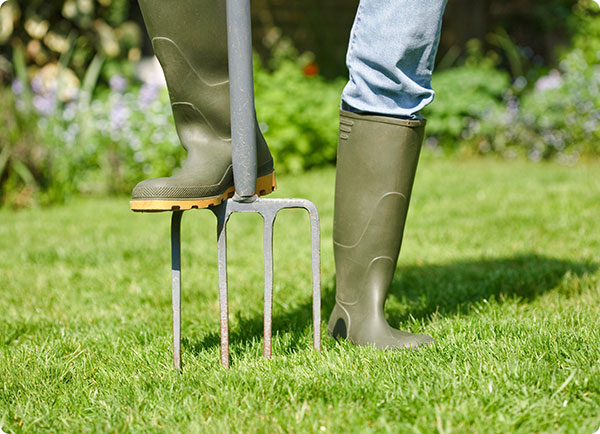Riek als gazon beluchter, alle tips voor gazon beluchten | Dr. Botani